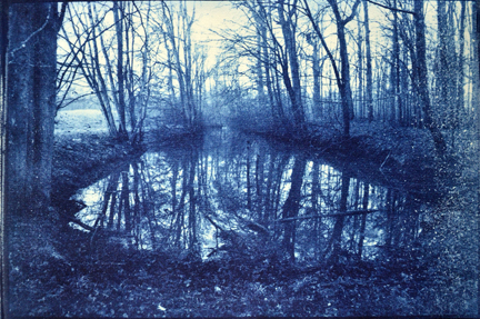 Cyanotype photo