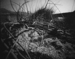 Sténopé / Pinhole